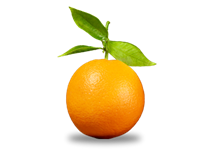 Safe paraben free and chemical free tanning liquids.